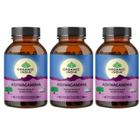 https://cdn.shopify.com/s/files/1/1857/6931/files/ORGAN-GENIE-55733-04_82418192-d85f-4157-a2d0-4e72a8d8e9d8.jpg?v=1756821203