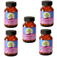 https://cdn.shopify.com/s/files/1/1857/6931/files/ORGAN-GENIE-55734-03_a4aa4b49-7ce2-40e8-9786-19c36fd827fb.jpg?v=1756821203