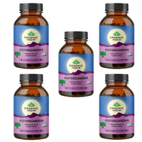 https://cdn.shopify.com/s/files/1/1857/6931/files/ORGAN-GENIE-55734-06_81c17a50-5d76-4061-9074-ae68f9d4f4d0.jpg?v=1756821203