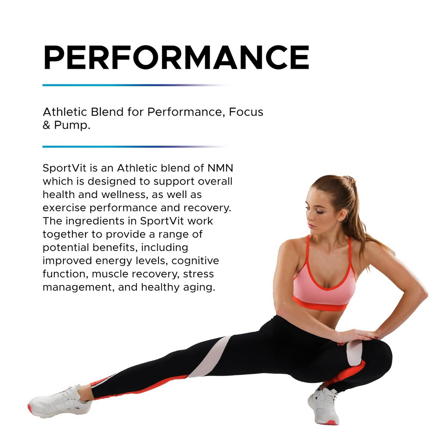 https://cdn.shopify.com/s/files/1/1857/6931/files/ORnYi63Ecn.png?v=1724239751
