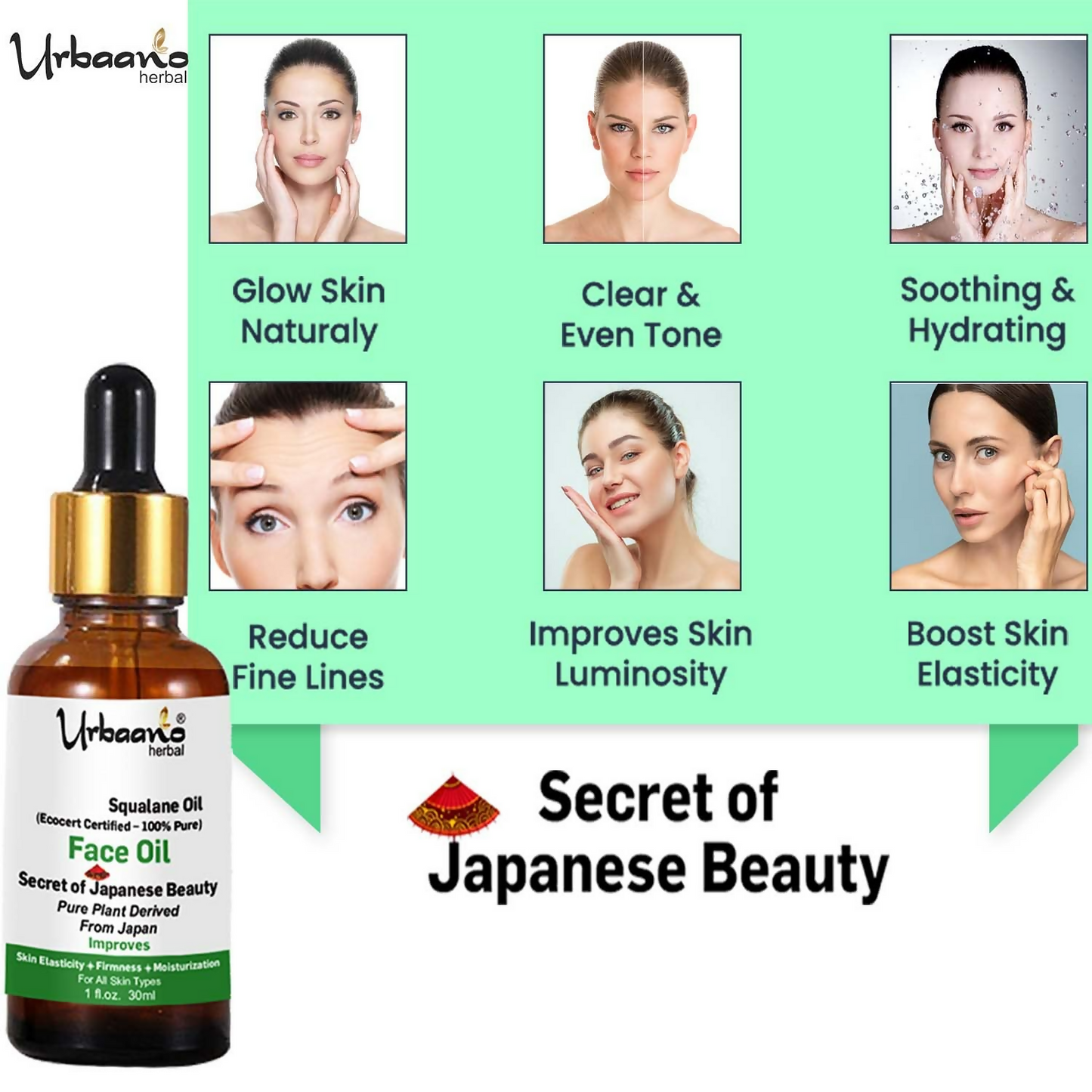 https://cdn.shopify.com/s/files/1/1857/6931/files/OTbRfwpyp4.png?v=1746448791
