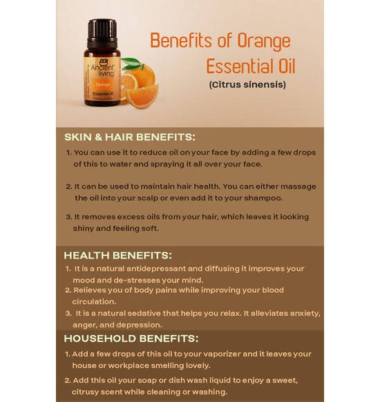 https://cdn.shopify.com/s/files/1/1857/6931/files/OTvUeJKjcD-589703.jpg?v=1736147458