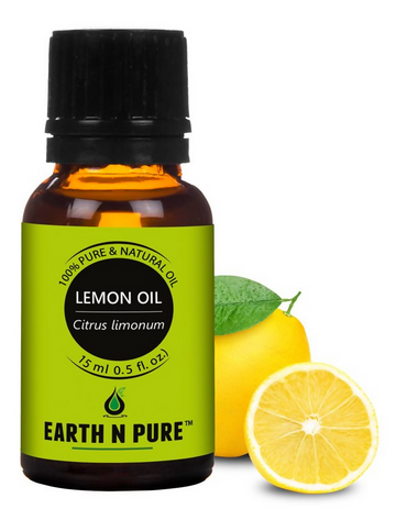 https://cdn.shopify.com/s/files/1/1857/6931/files/OTzZ6nucJG.png?v=1722945673