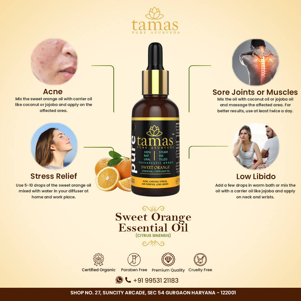 https://cdn.shopify.com/s/files/1/1857/6931/products/OWtHAVuqyL.jpg?v=1626402544