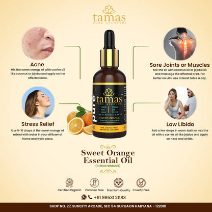 https://cdn.shopify.com/s/files/1/1857/6931/products/OWtHAVuqyL.jpg?v=1626402544