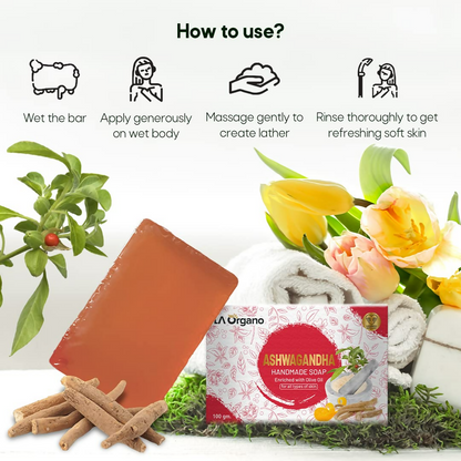 https://cdn.shopify.com/s/files/1/1857/6931/files/OXhtwGWAFs.png?v=1718861790