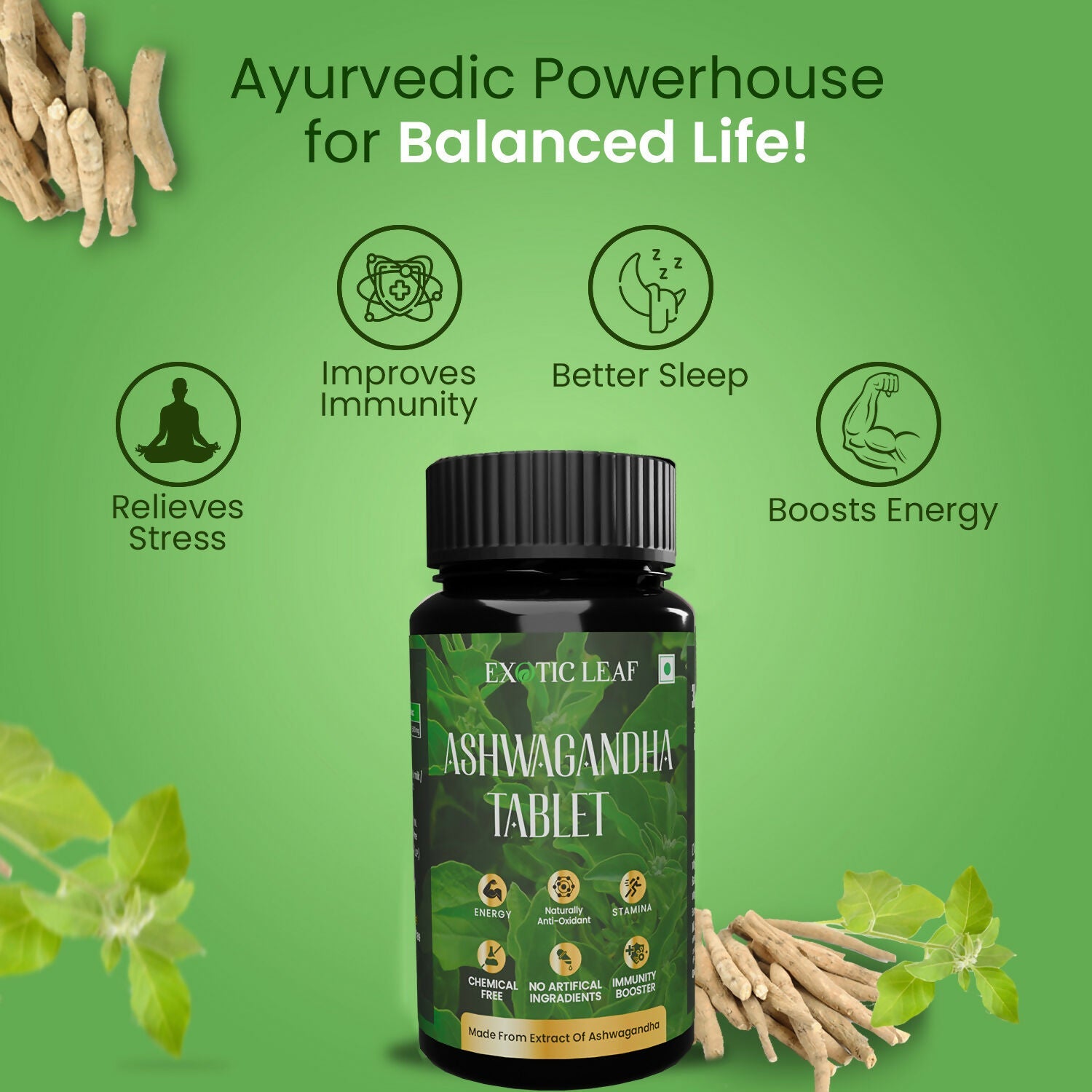 https://cdn.shopify.com/s/files/1/1857/6931/files/OY6fhvfZP1.jpg?v=1725084903