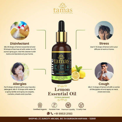 https://cdn.shopify.com/s/files/1/1857/6931/products/OYZz5xe6p0.jpg?v=1626402541