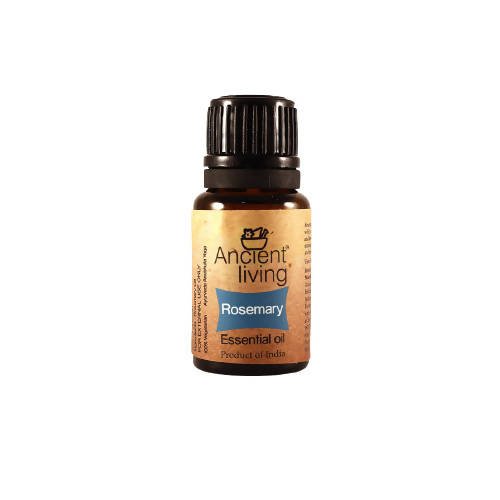https://cdn.shopify.com/s/files/1/1857/6931/files/OYtTUDrb8x-773246.jpg?v=1736147458