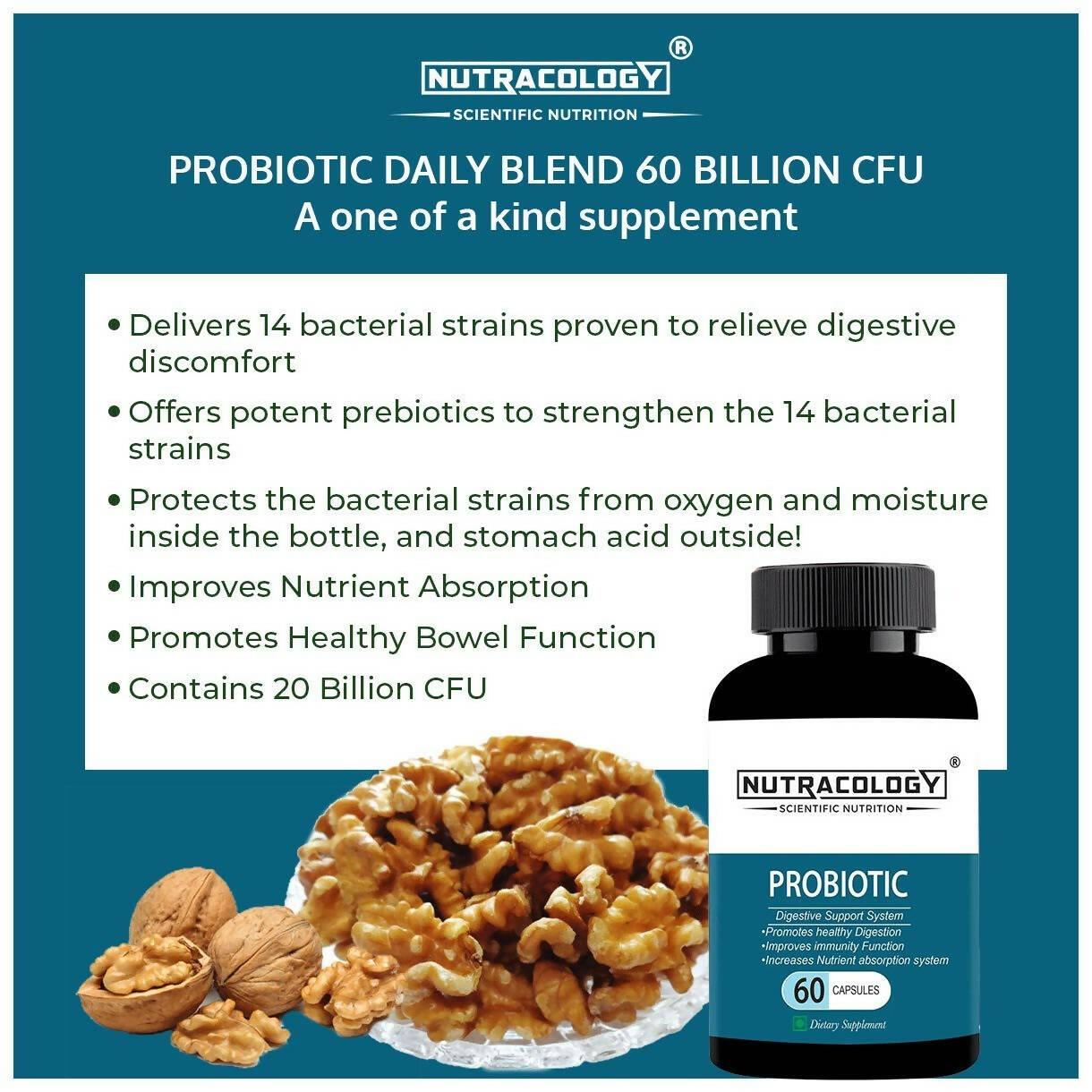 https://cdn.shopify.com/s/files/1/1857/6931/products/OatEPx8paK.jpg?v=1666002710