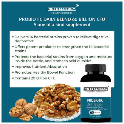https://cdn.shopify.com/s/files/1/1857/6931/products/OatEPx8paK.jpg?v=1666002710