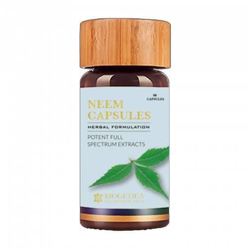 https://cdn.shopify.com/s/files/1/1857/6931/products/Objxk2Niei.jpg?v=1613892399