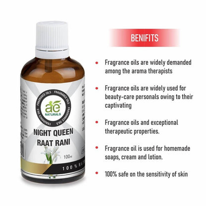 https://cdn.shopify.com/s/files/1/1857/6931/files/OdTAQdhZNL-738858.jpg?v=1736143806