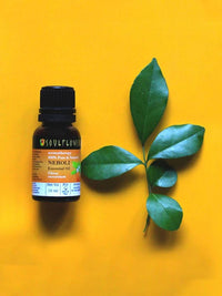 https://cdn.shopify.com/s/files/1/1857/6931/products/OgynUvkDqS.jpg?v=1614911251
