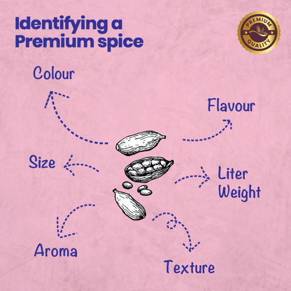 https://cdn.shopify.com/s/files/1/1857/6931/files/OiUFuGPUcB.png?v=1774863780