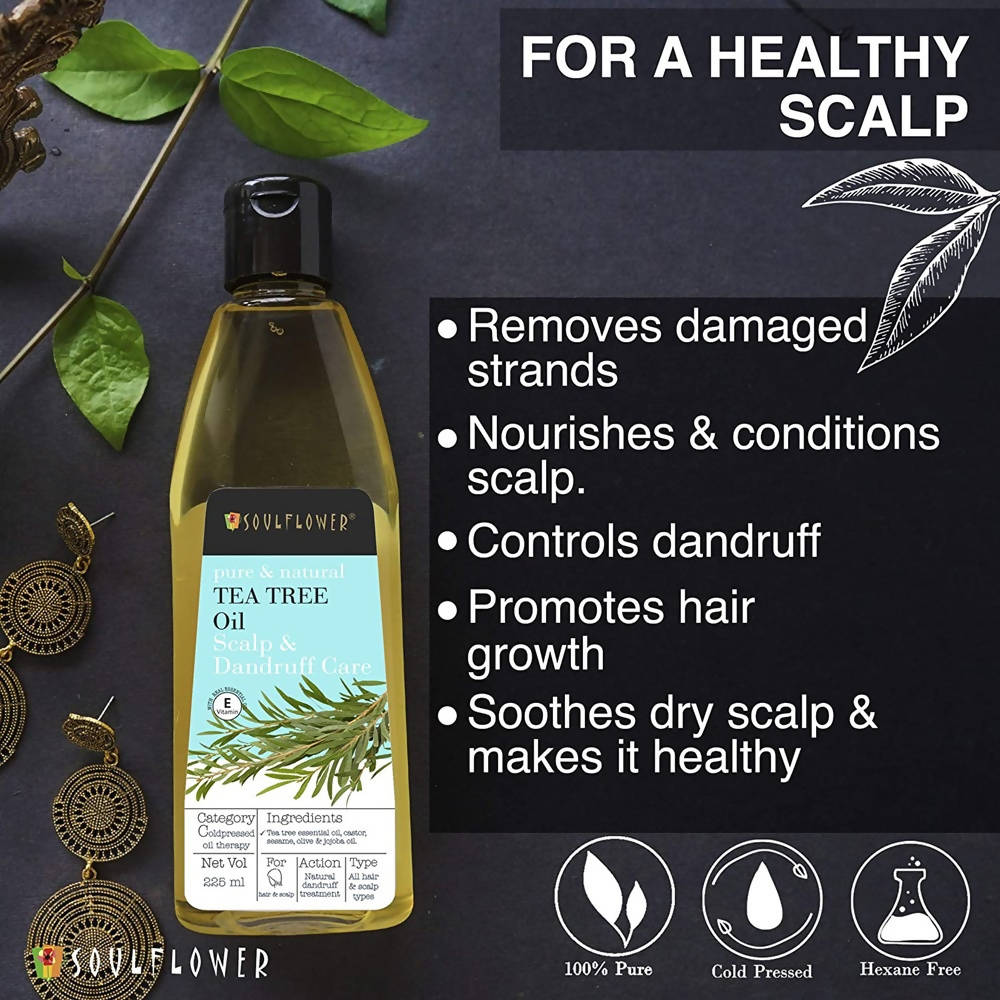 https://cdn.shopify.com/s/files/1/1857/6931/products/Ojy7x0UCGq.jpg?v=1624111173