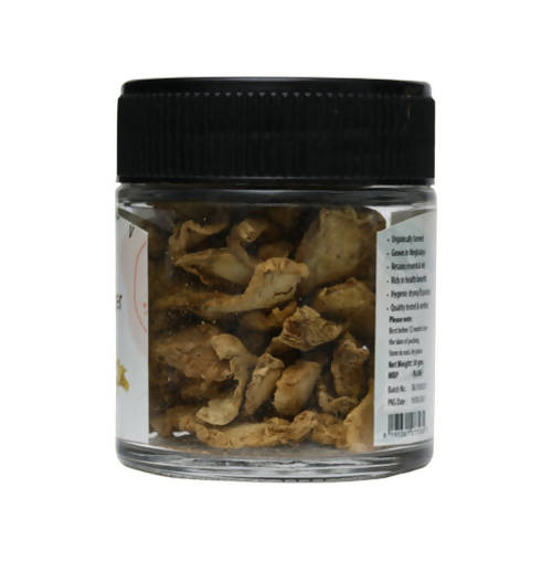 https://cdn.shopify.com/s/files/1/1857/6931/products/OlB0kzZaSO.jpg?v=1645096973