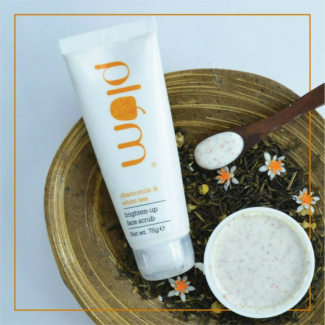 https://cdn.shopify.com/s/files/1/1857/6931/products/OnHUBveKIh.jpg?v=1693379433