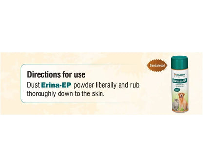 https://cdn.shopify.com/s/files/1/1857/6931/products/OoFMPdGyag.jpg?v=1627007558