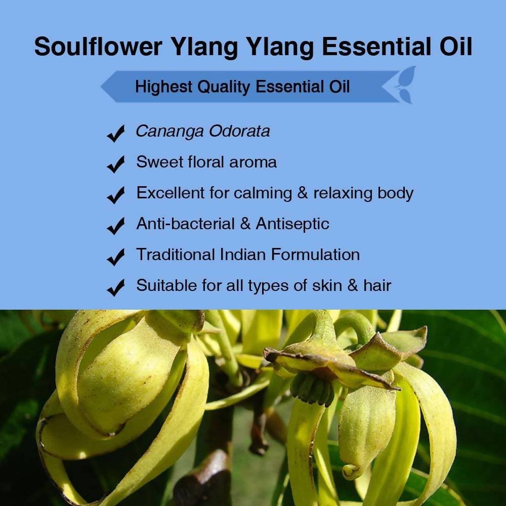 https://cdn.shopify.com/s/files/1/1857/6931/products/Op0GpoLGUo.jpg?v=1614911240