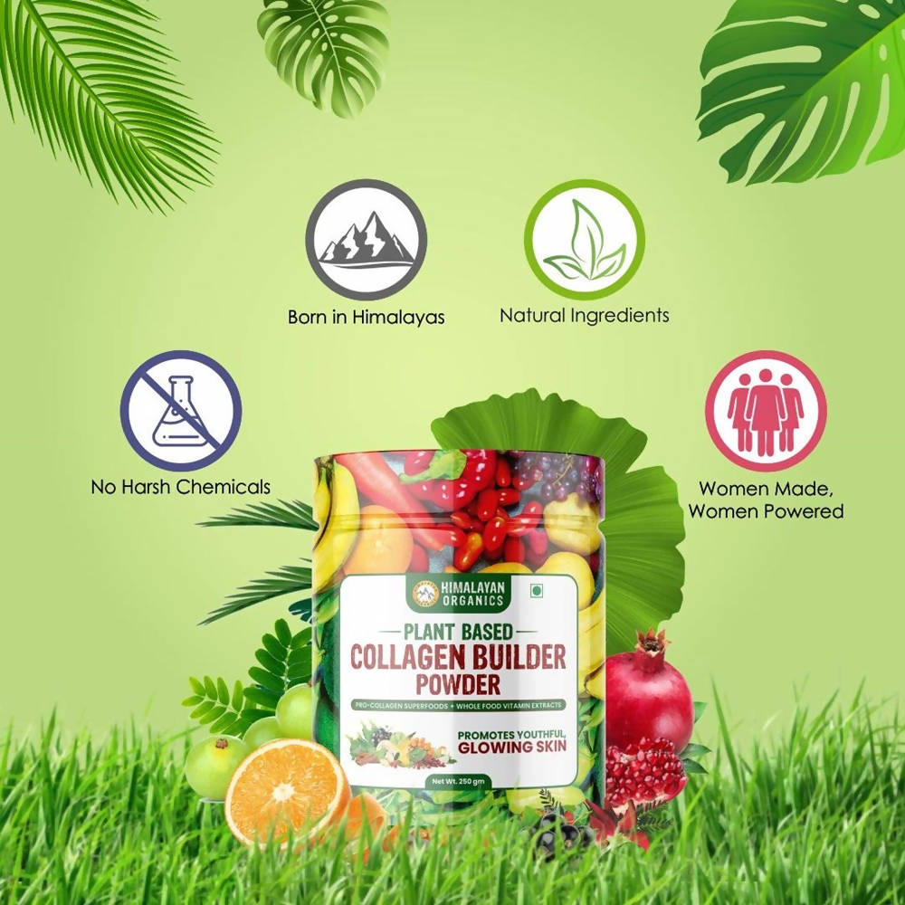 https://cdn.shopify.com/s/files/1/1857/6931/products/OpnOaUvV31.jpg?v=1623983822