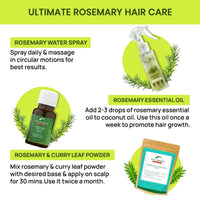 https://cdn.shopify.com/s/files/1/1857/6931/files/Or4pZWn0vh-226361.jpg?v=1736146744