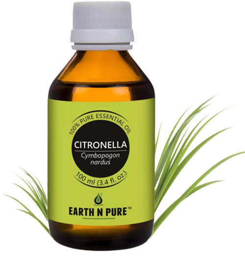 https://cdn.shopify.com/s/files/1/1857/6931/products/OrYhsyIZtv.jpg?v=1646137529