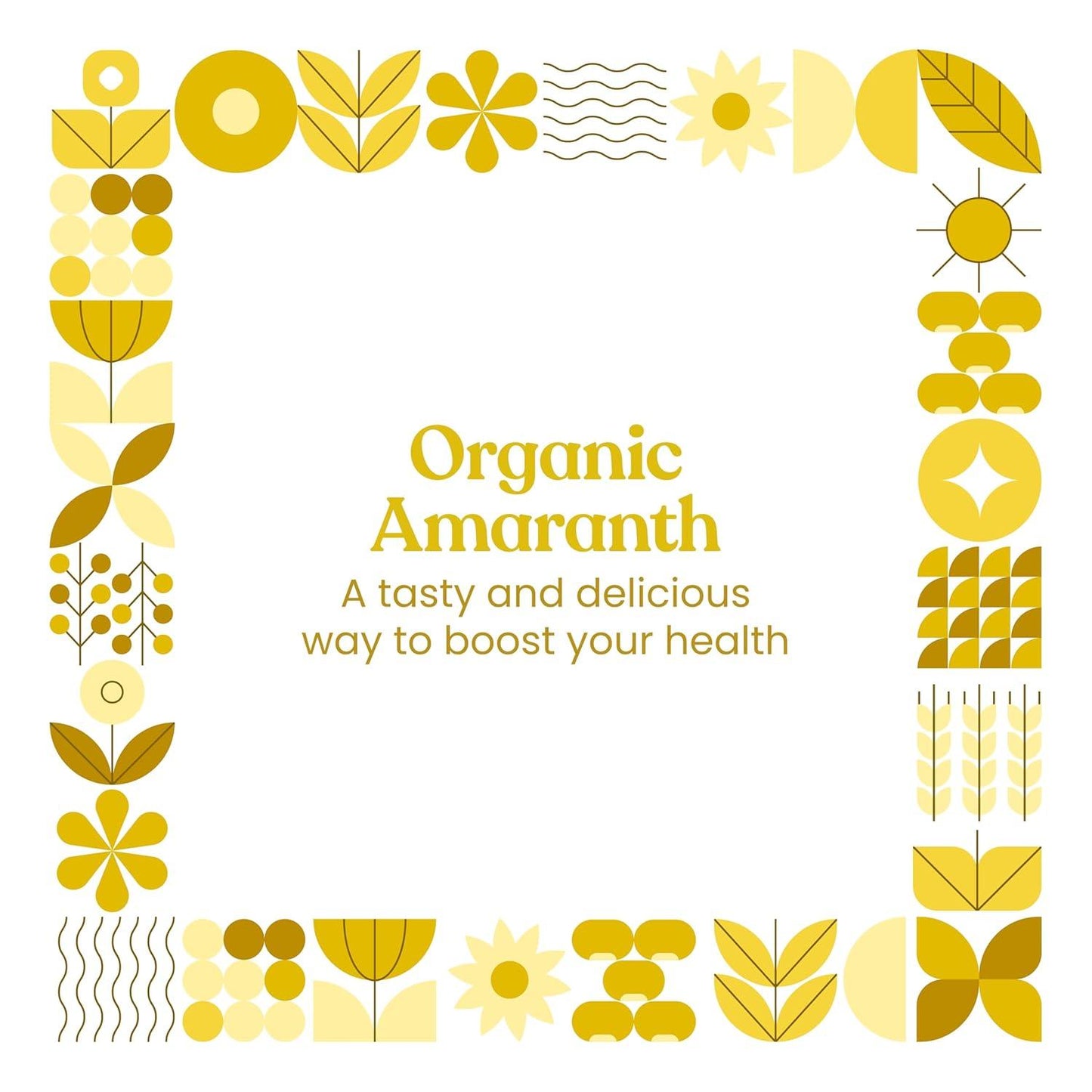 https://cdn.shopify.com/s/files/1/1857/6931/files/Organic_Amaranth_2.jpg?v=1775047444