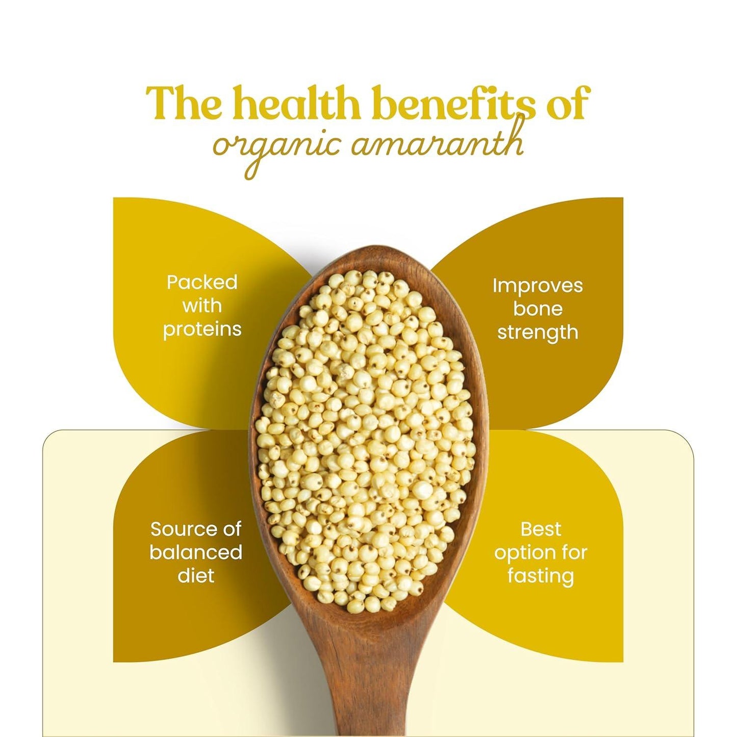 https://cdn.shopify.com/s/files/1/1857/6931/files/Organic_Amaranth_3.jpg?v=1775047444