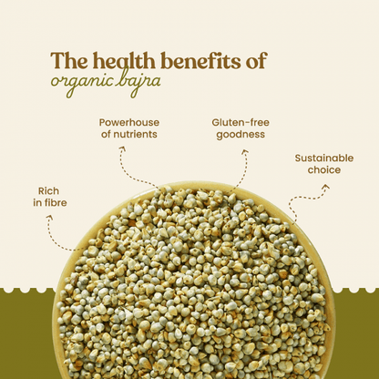 https://cdn.shopify.com/s/files/1/1857/6931/files/Organic_Pearl_Millet3_146afcc1-299d-4f2a-9710-4fcfee91d259.png?v=1775047412