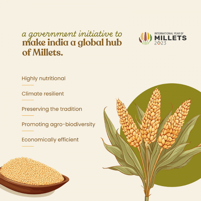 https://cdn.shopify.com/s/files/1/1857/6931/files/Organic_Pearl_Millet5_ab5899ea-ca89-41ed-b8da-1183e5d56c5d.png?v=1775047412