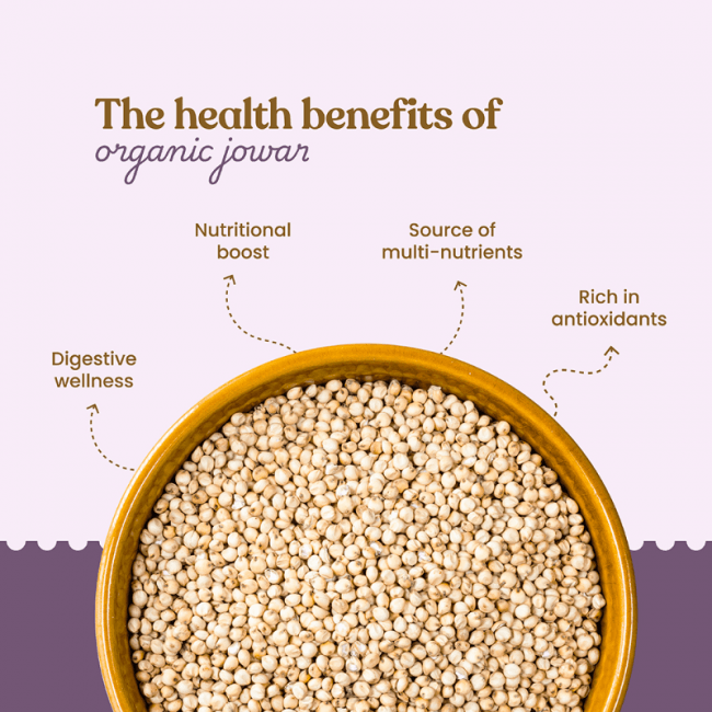 https://cdn.shopify.com/s/files/1/1857/6931/files/Organic_Sorghum_Millet3_0bbe5a0f-921e-439b-afac-476da7ffa386.png?v=1775047407