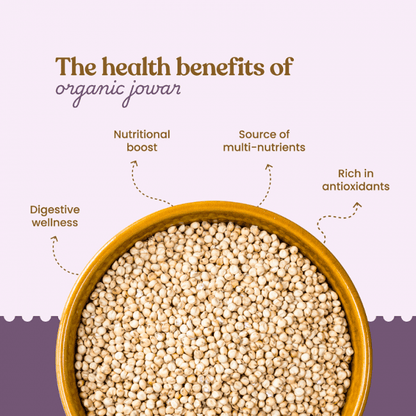 https://cdn.shopify.com/s/files/1/1857/6931/files/Organic_Sorghum_Millet3_0bbe5a0f-921e-439b-afac-476da7ffa386.png?v=1775047407