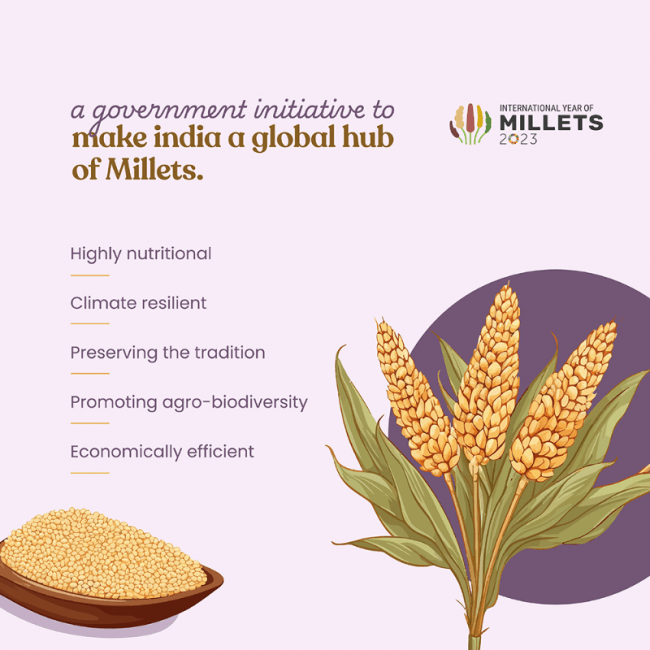 https://cdn.shopify.com/s/files/1/1857/6931/files/Organic_Sorghum_Millet5_d4867880-91a5-45f7-8d31-d9338da506ac.png?v=1775047407