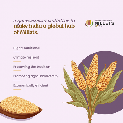 https://cdn.shopify.com/s/files/1/1857/6931/files/Organic_Sorghum_Millet5_d4867880-91a5-45f7-8d31-d9338da506ac.png?v=1775047407