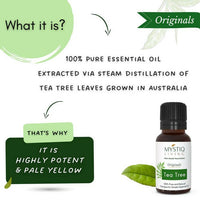 https://cdn.shopify.com/s/files/1/1857/6931/products/OwYiVQ2nvt.jpg?v=1664364985