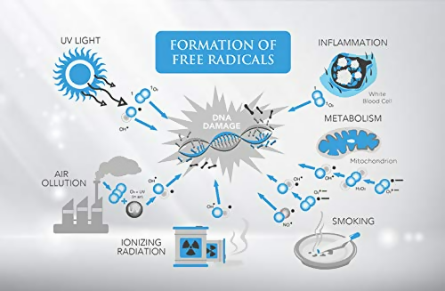 https://cdn.shopify.com/s/files/1/1857/6931/files/Oxft3L9Qj5.png?v=1736579896