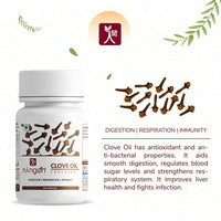 https://cdn.shopify.com/s/files/1/1857/6931/products/P1zDRRPDSz.jpg?v=1666414268