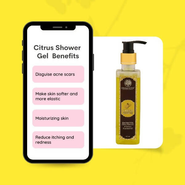 https://cdn.shopify.com/s/files/1/1857/6931/products/P4BCXtcMRe.jpg?v=1663678591