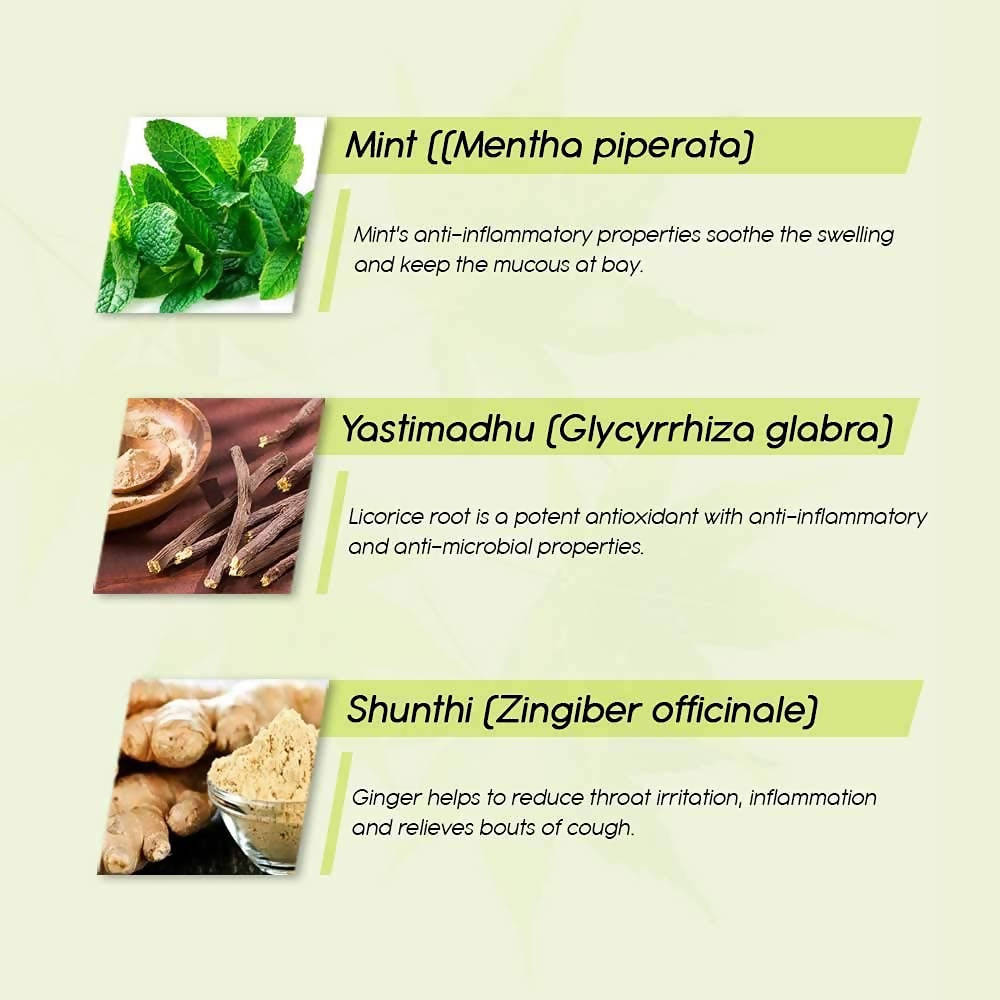 https://cdn.shopify.com/s/files/1/1857/6931/products/P4tbPf7owu.jpg?v=1635504309