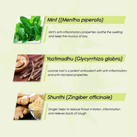 https://cdn.shopify.com/s/files/1/1857/6931/products/P4tbPf7owu.jpg?v=1635504309