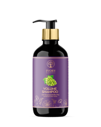 https://cdn.shopify.com/s/files/1/1857/6931/files/P5Xicb3rf2.png?v=1717586139