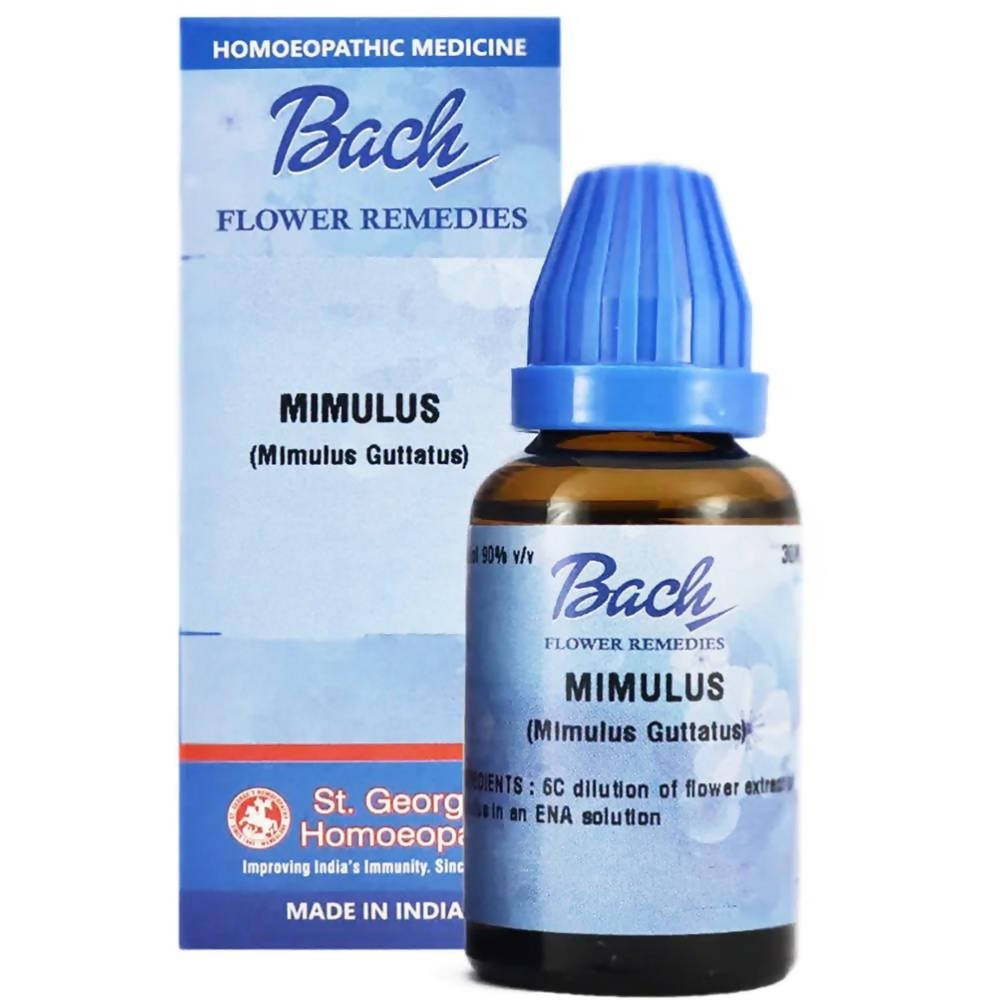https://cdn.shopify.com/s/files/1/1857/6931/products/P6dXYowTGC.jpg?v=1759310854