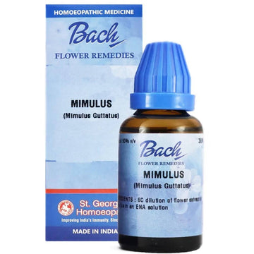 https://cdn.shopify.com/s/files/1/1857/6931/products/P6dXYowTGC.jpg?v=1759310854