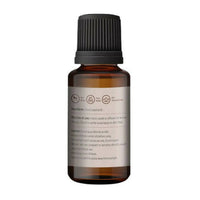 https://cdn.shopify.com/s/files/1/1857/6931/products/P7gBX77Xkn.jpg?v=1665053326
