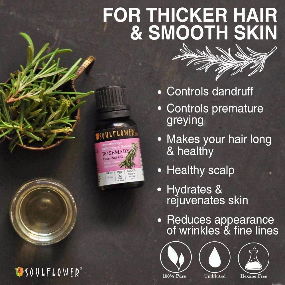https://cdn.shopify.com/s/files/1/1857/6931/products/P9QTb7I0gl.jpg?v=1711690751
