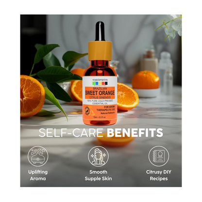 https://cdn.shopify.com/s/files/1/1857/6931/files/P9q80vjHx2.png?v=1723113725