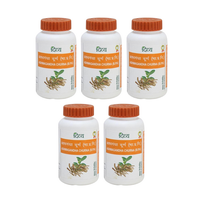 https://cdn.shopify.com/s/files/1/1857/6931/files/PATAN-GENIE-1599-03_53a762c2-0d2f-45f5-91ff-5c9cef9a347e.png?v=1756826126