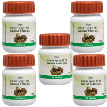https://cdn.shopify.com/s/files/1/1857/6931/files/PATAN-GENIE-2278-05_8c2f5e83-7f1d-4bc6-95d1-de3f50deaa3c.jpg?v=1756821179