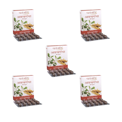 https://cdn.shopify.com/s/files/1/1857/6931/files/PATAN-GENIE-412-03_7910e339-4a6b-4582-b64e-ae870890b67d.png?v=1756826416